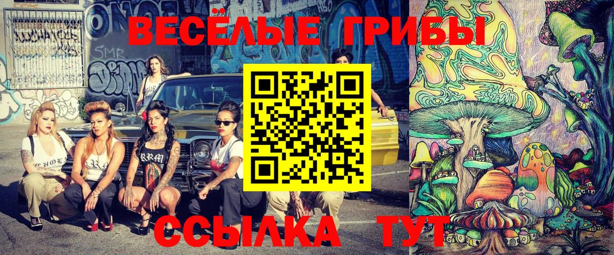 Галлюциногенные грибы мицелий Чусовой